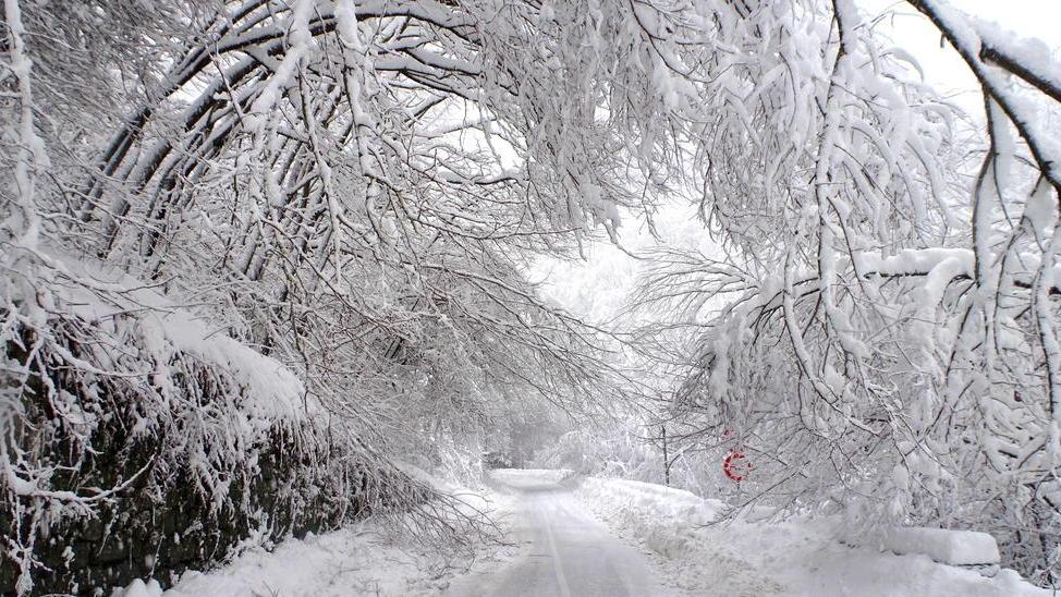 La Ss 66 Modenese chiusa lungo il Reno per gli alberi spezzati dalla neve