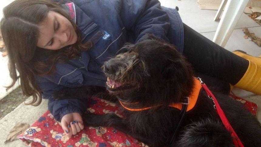 Modena Anche gli animali pagano per il Covid Cani portati indietro per troppe spese