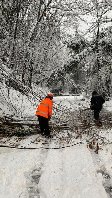 Alberi, neve, frane e poi il ghiaccio Ieri muoversi era quasi impossibile 