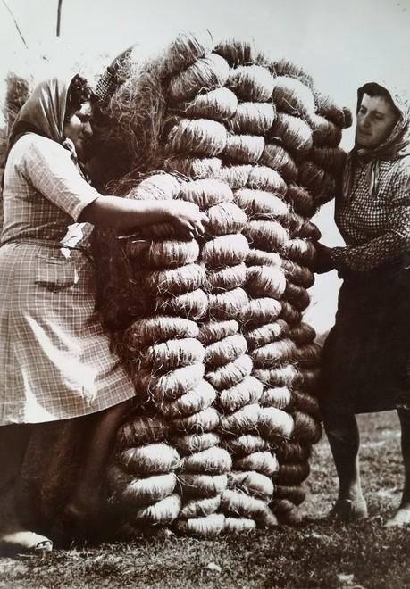 “Cronache agricole”: vita e lavoro nei campi del Ferrarese durante il XIX secolo 