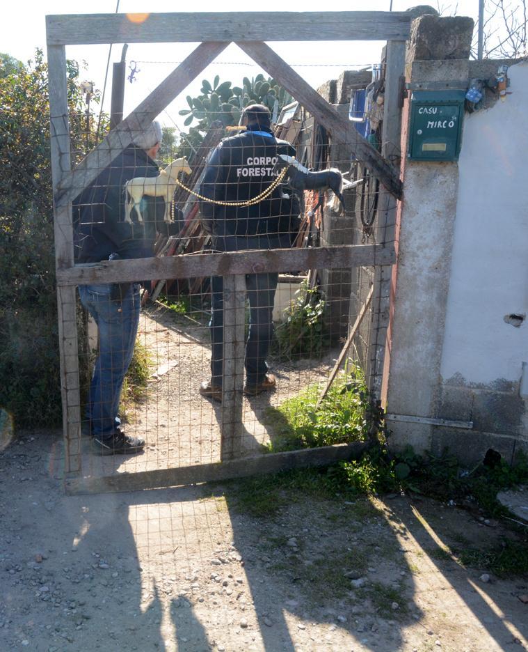 Le scuderie della Sartiglia non saranno più abusive 