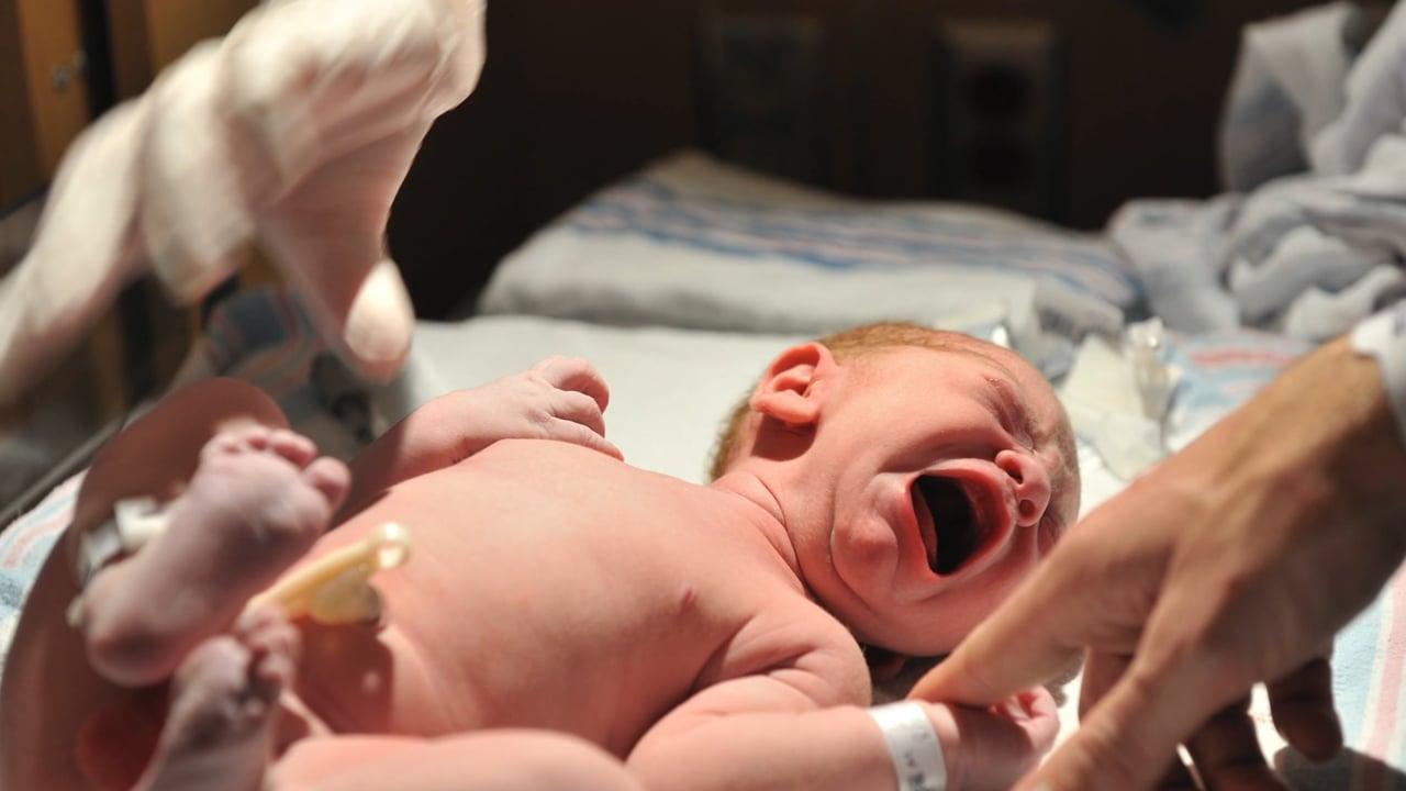 Nascite multietniche in Gallura: 860 bambini nel 2020, il 17% ha genitori stranieri