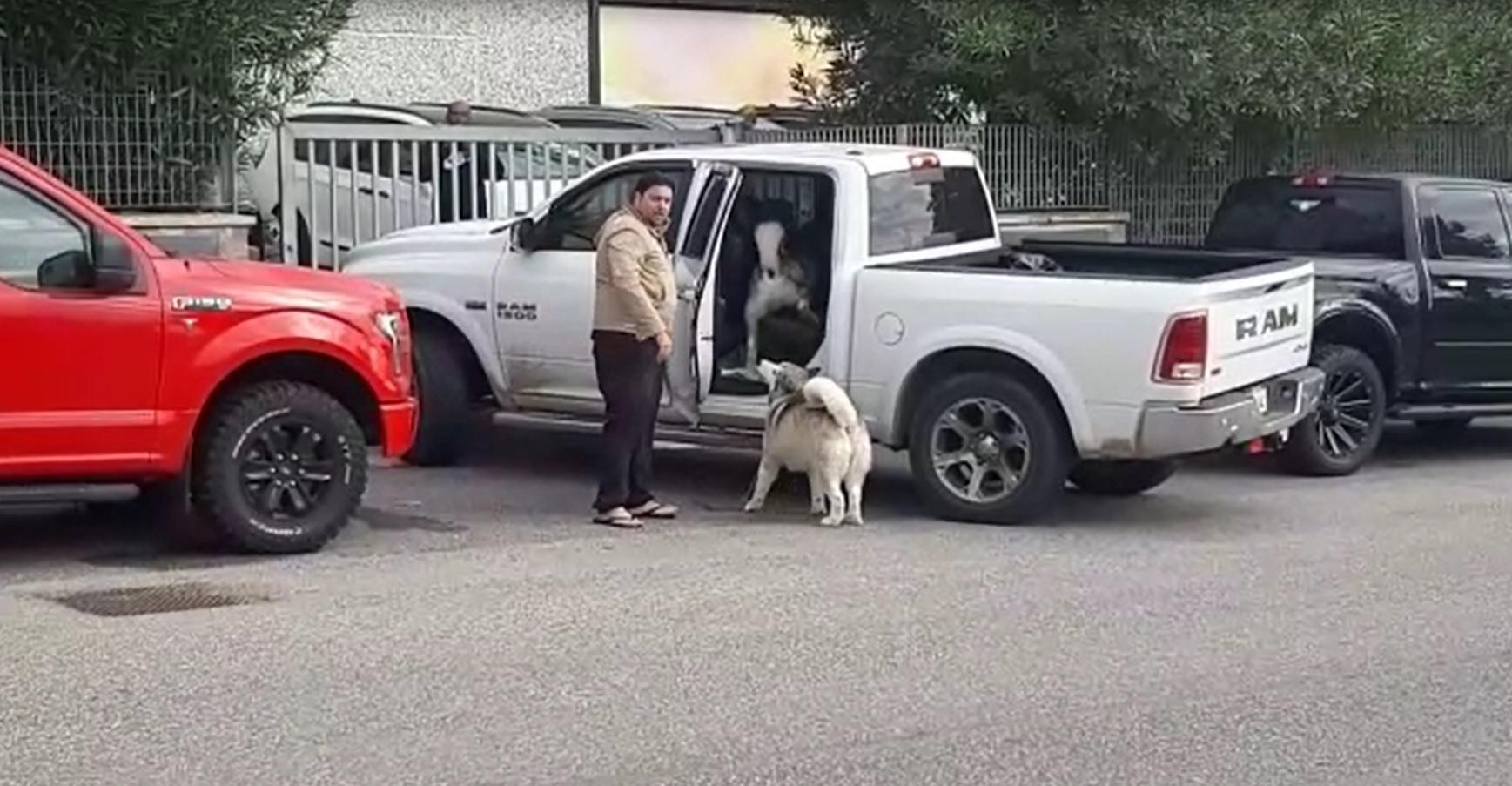 L'imprenditore Dario D'Erasmo davanti al suo autosalone con una delle Dodge Ram vendute