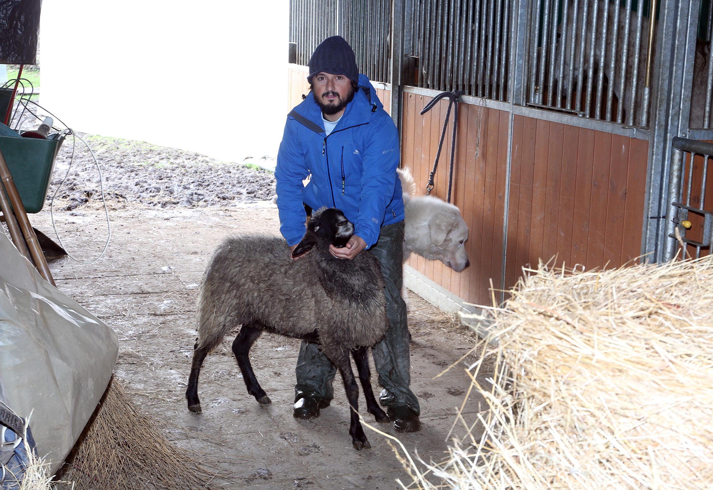 Enrico Franco con la pecora Molly e il cane Jack (Foto Nucci)