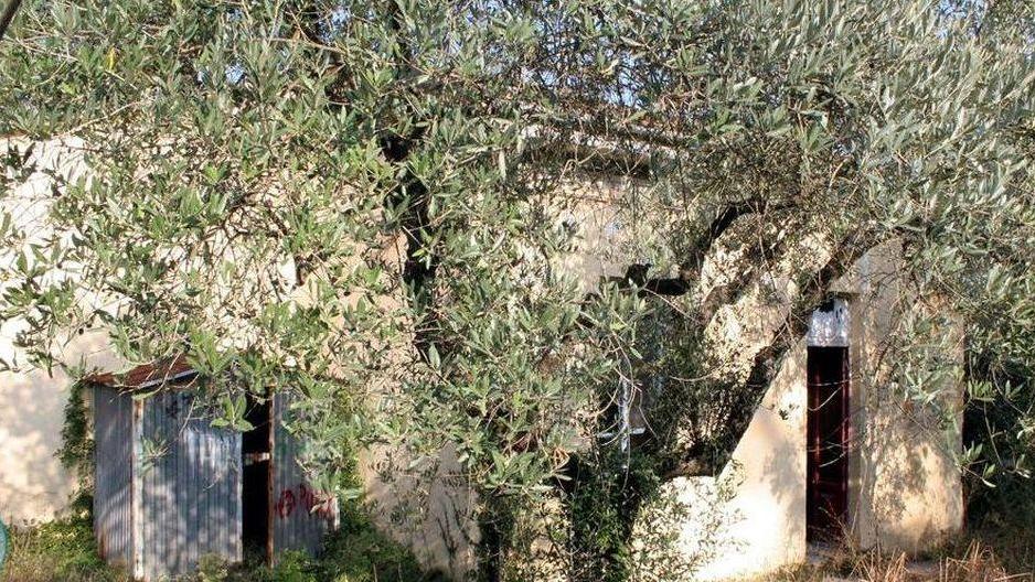 Due scuole e una casa in vendita Comune a caccia di 1,6 milioni