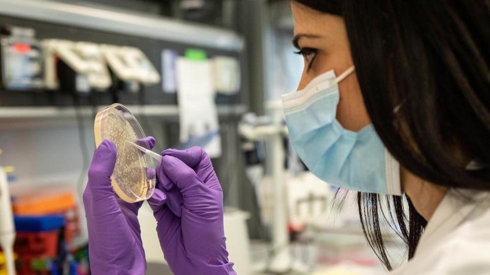 Super farmaco anti-Covid, Rappuoli: "Sarà pronto tra aprile e maggio"