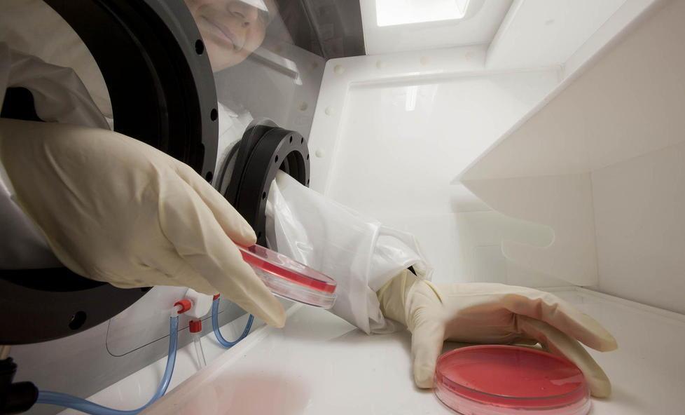 Covid, super farmaco con i monoclonali: basterà un’iniezione dal medico da fare a chi risulta positivo 