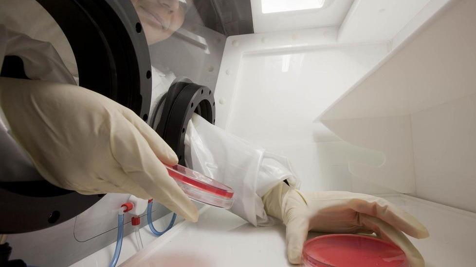 Covid, super farmaco con i monoclonali: basterà un’iniezione dal medico da fare a chi risulta positivo