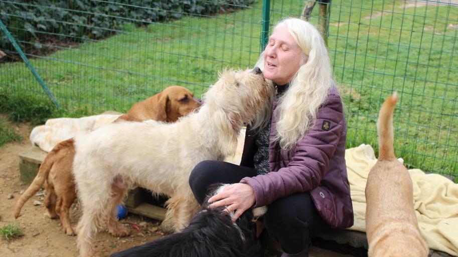 Gatte da sterilizzare per legge, ma l’Asl latita: progetto fermo