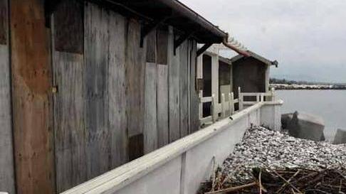 «Bene il percorso Bisogna fare presto, la natura non aspetta»
