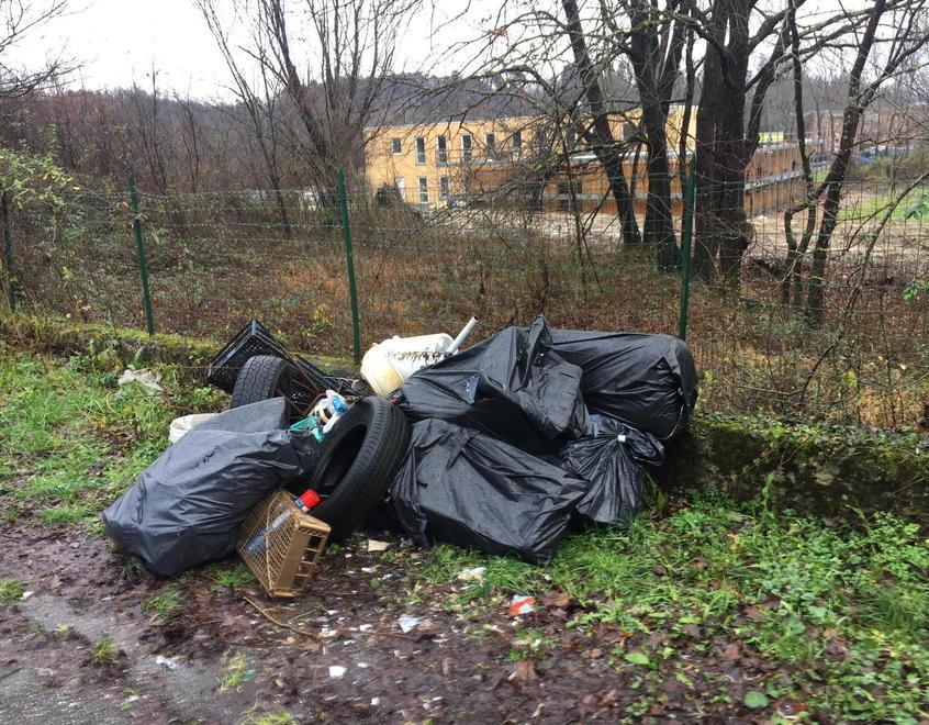 Campi arati dai cinghiali e discariche abusive: il Pd attacca Martelloni 