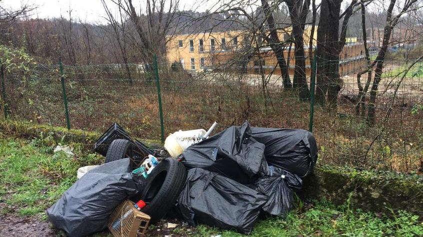 Campi arati dai cinghiali e discariche abusive: il Pd attacca Martelloni