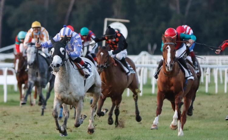 San Rossore, il premio Losi è l’appuntamento più importante della giornata