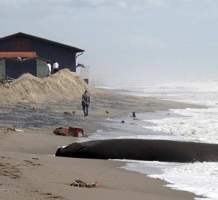 Un geotubo “spiaggiato” nell’estate del 2012