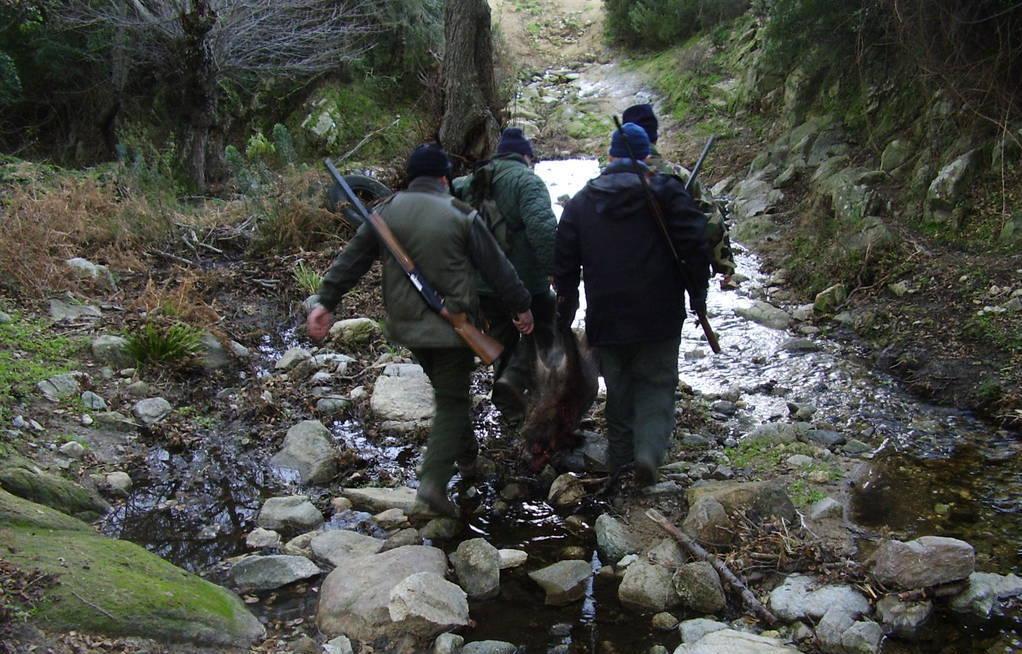 Caccia batte Covid: per Solinas è di pubblica utilità 