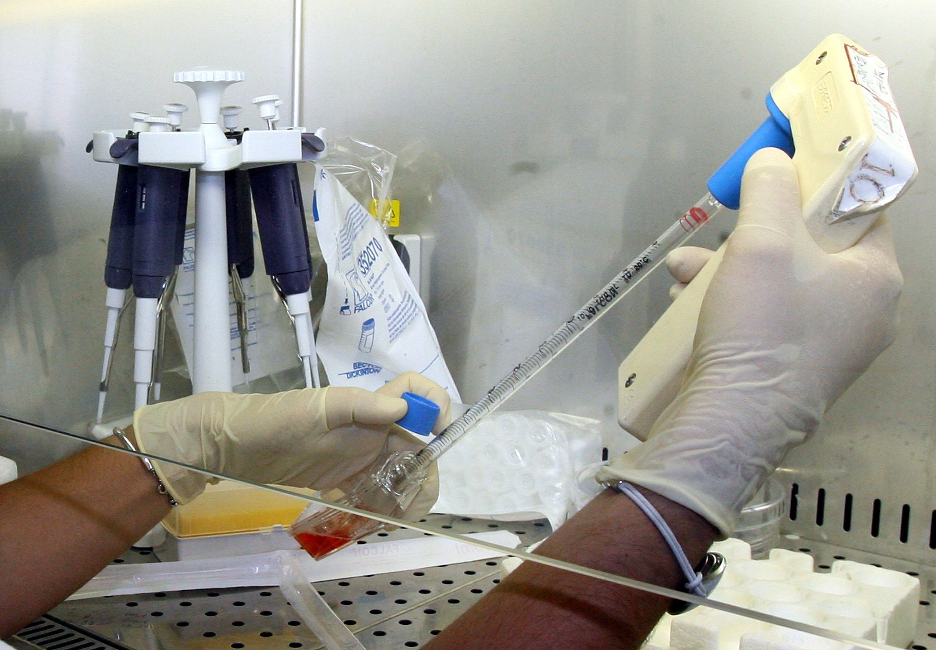 Un laboratorio di ematologia