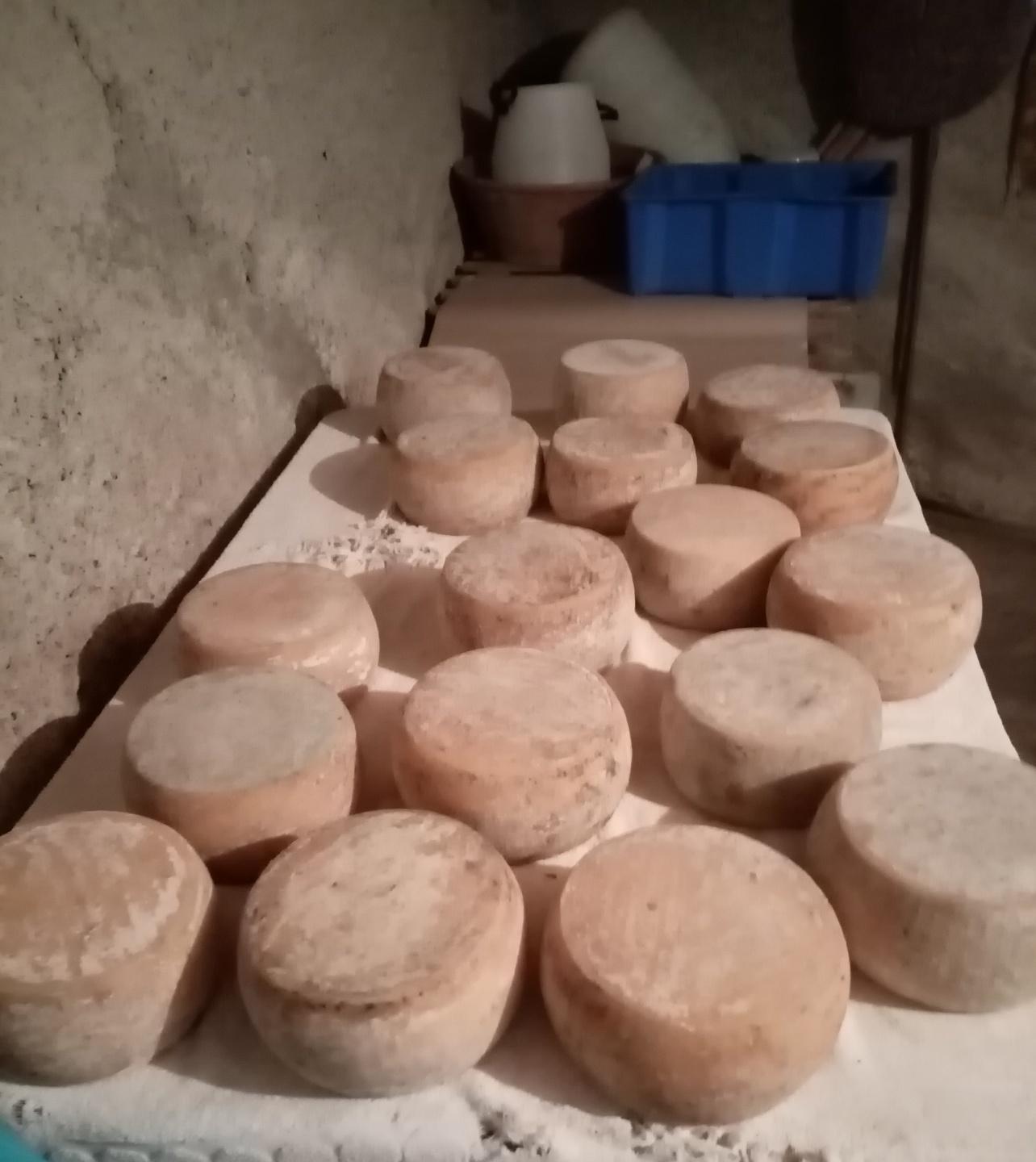 Agricoltura e sviluppo: nasce il Distretto rurale 