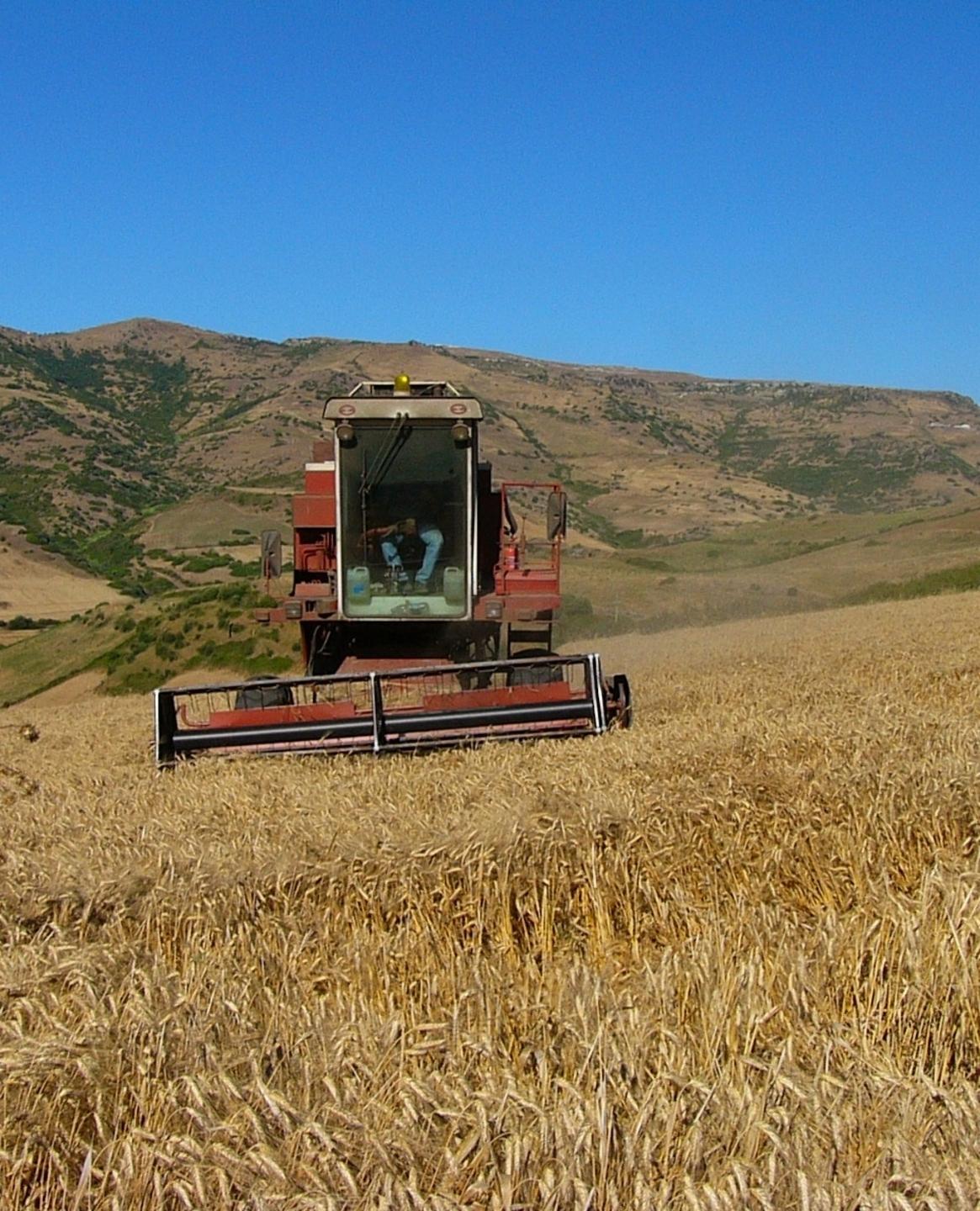 Osilo sposa il progetto della Banca delle terre 