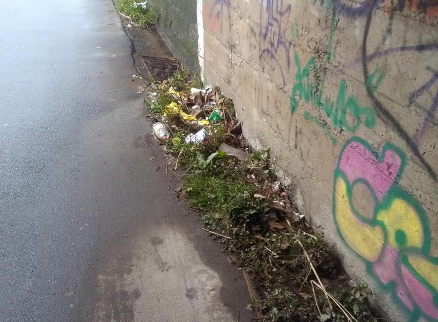 Degrado e sporcizia Protestano gli abitanti di via Lodolina