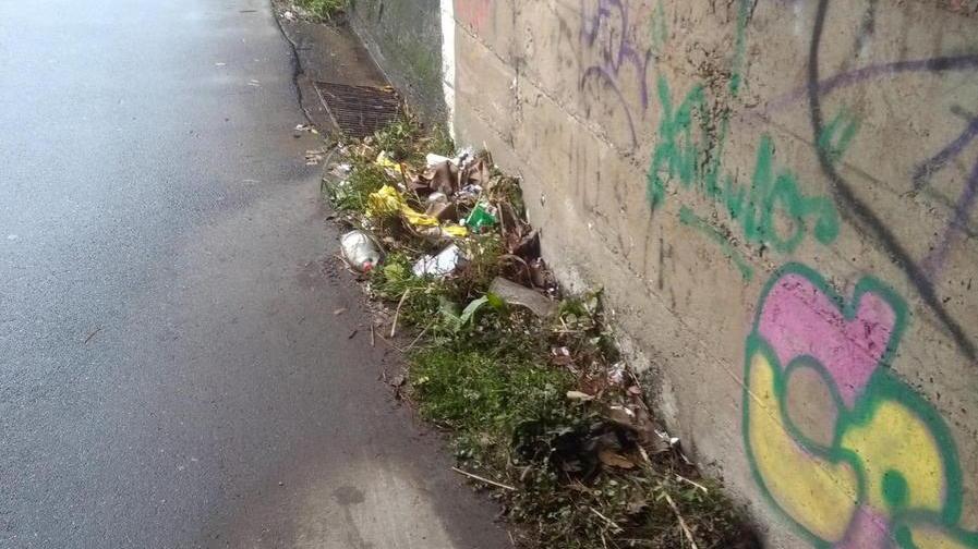 Degrado e sporcizia Protestano gli abitanti di via Lodolina