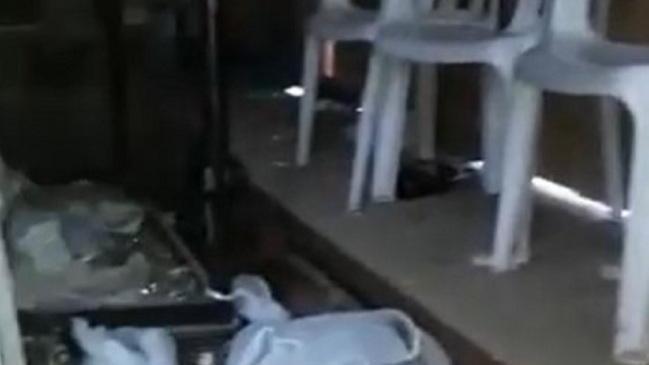 Vandali danneggiano lo spazio occupato degli Orti urbani