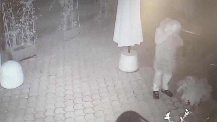 Filmato a volto scoperto il ladro entrato di notte dentro “L’orticello Bio”