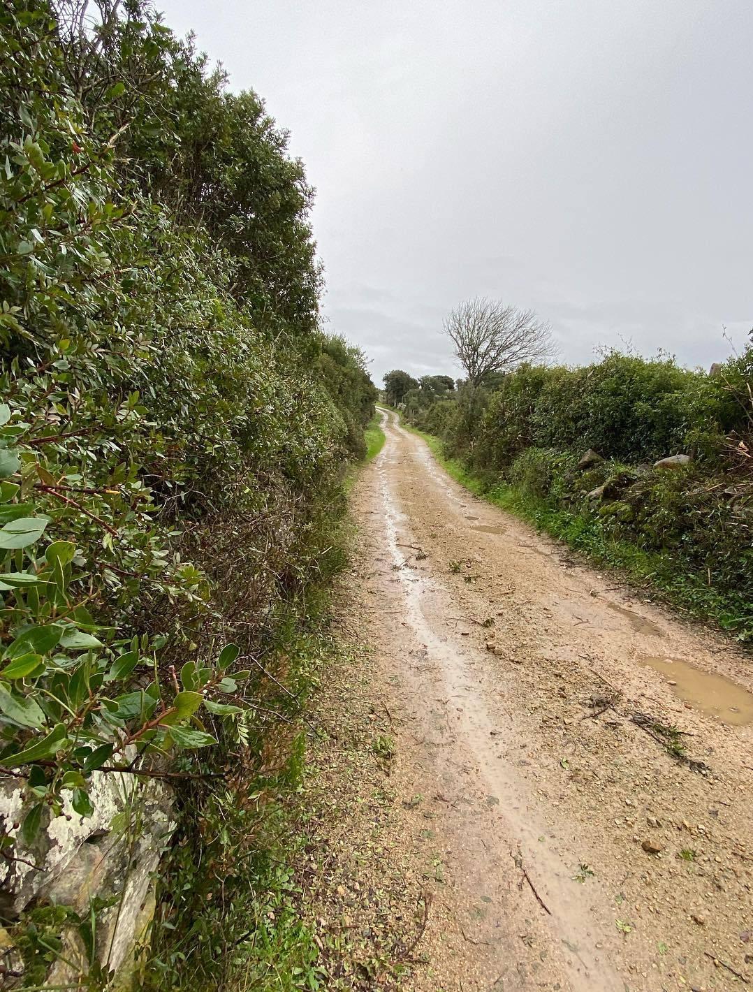 Lavori del Comune nelle campagne 