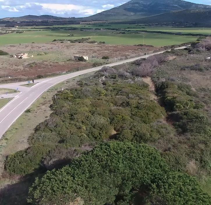 Maltempo, Agenzia Forestas nell’agro 