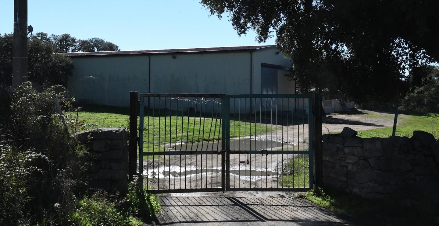 Allevatore morto, incidente probatorio 