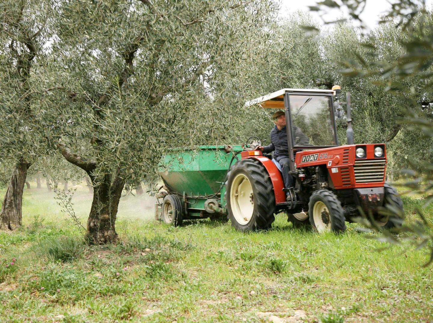 Il mondo dell’agricoltura avvia il suo censimento 