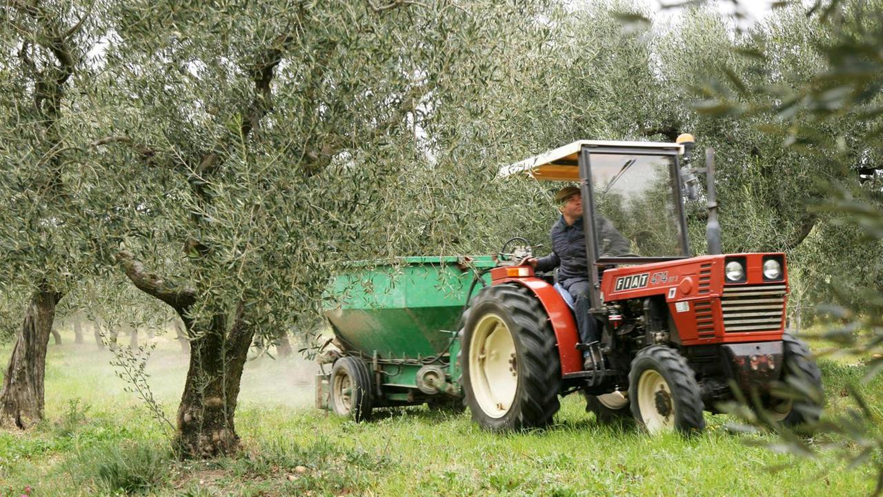 Il mondo dell’agricoltura avvia il suo censimento