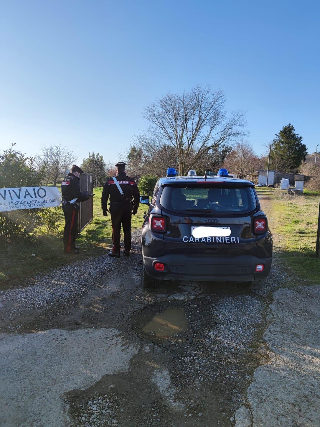 Torna per rubare nel vivaio, scappa, perde il controllo del furgone e finisce fuori strada