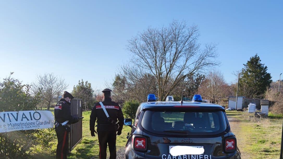 Torna per rubare nel vivaio, scappa, perde il controllo del furgone e finisce fuori strada