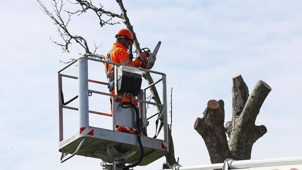 Via del Brennero chiusa per lavori. La protesta: «Perché adesso?»