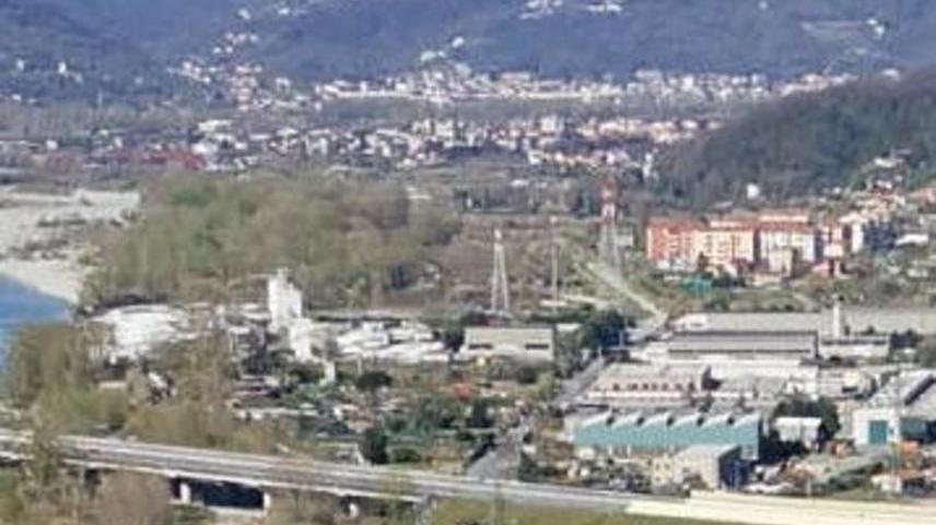 Un filtro ecologico di alberi alla zona industriale di Albiano