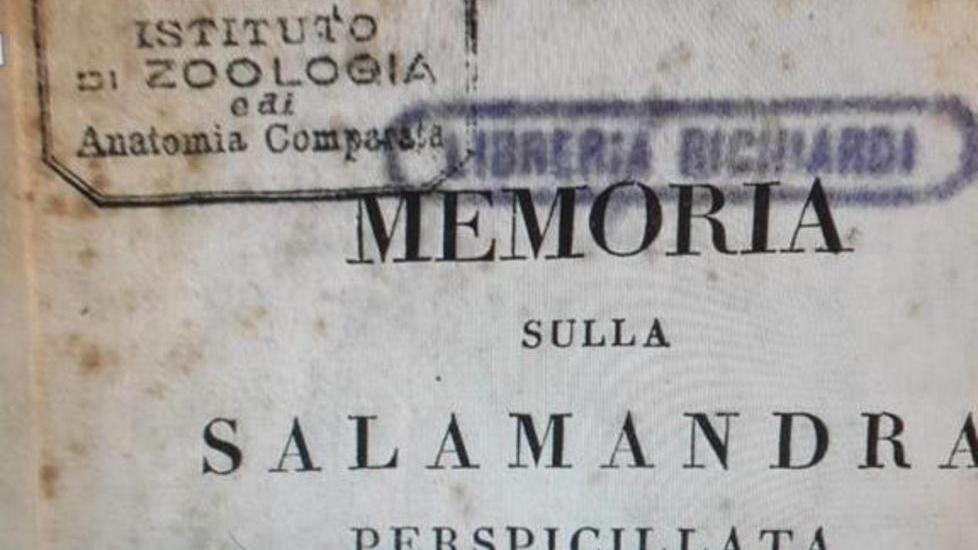 In vendita su eBay un documento di Viani e un antico libro