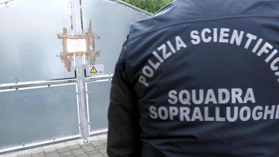 L’ipotesi dei vicini di casa «Sarà stata portata via»