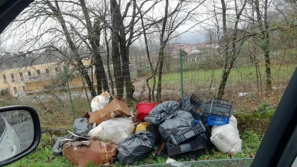 Ancora rifiuti abbandonati L’ira del sindaco: «Incivili»