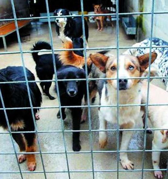 Sull’opera a Colle Reciso c’è l’interpellanza della Forza del Fare