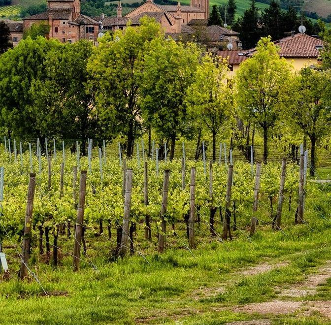 Il futuro dell’agricoltura passa dal 5G 