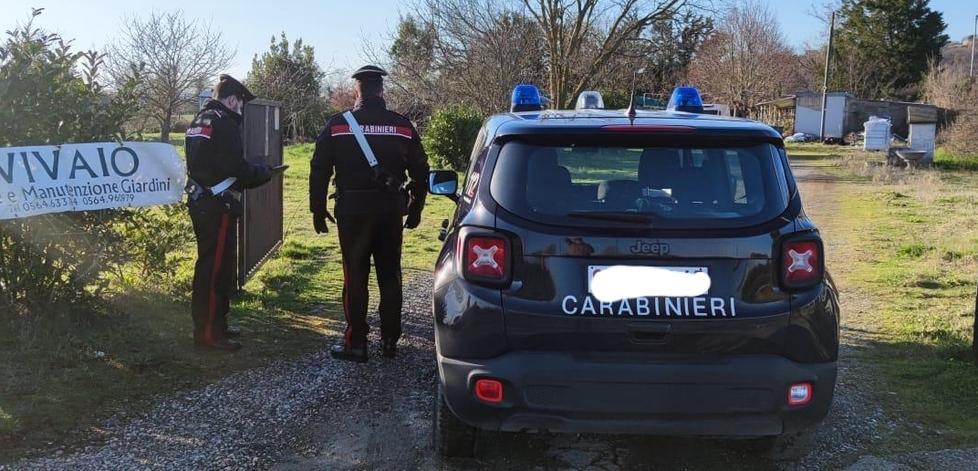 Tenta il furto, scappa e sbanda per l’alta velocità