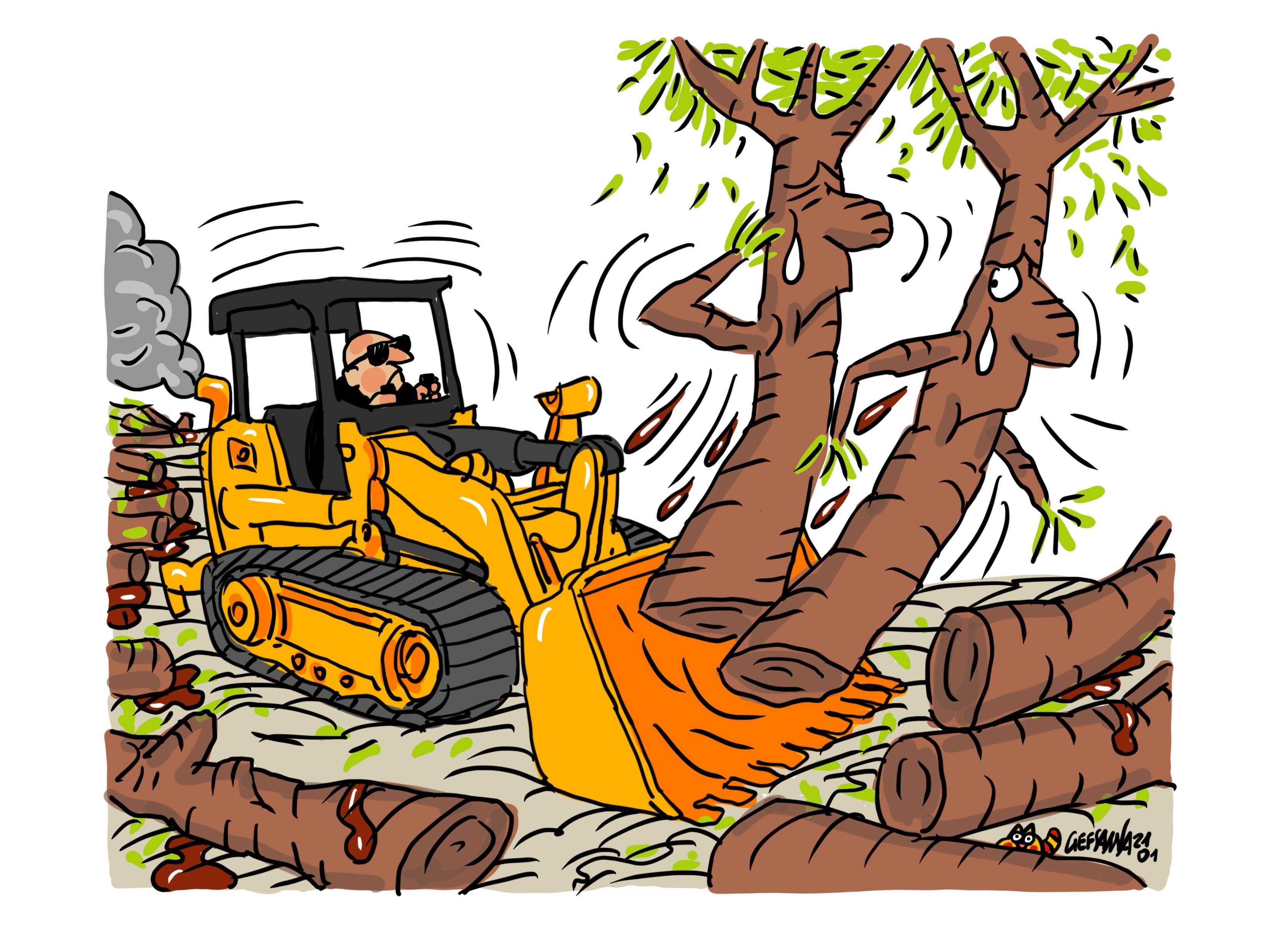 La vignetta di Gef: alberi abbattuti a Platamona, in rivolta ambientalisti e non solo