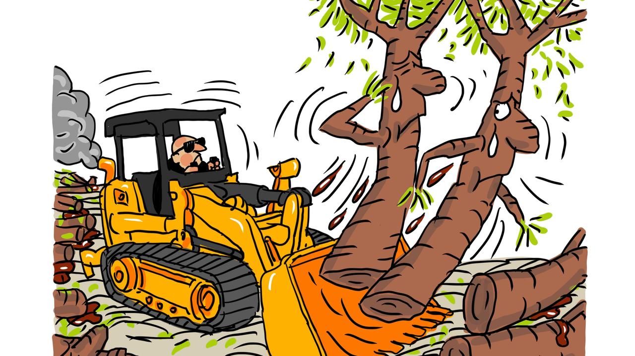La vignetta di Gef: alberi abbattuti a Platamona, in rivolta ambientalisti e non solo