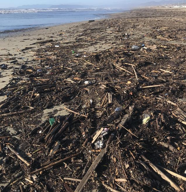 Lavarone e rifiuti sulla spiaggia di Fiumetto