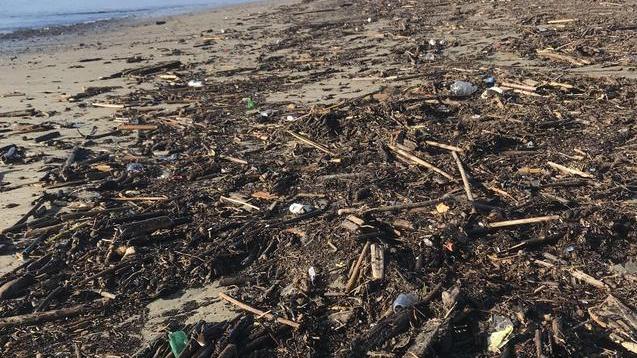 Lavarone e rifiuti sulla spiaggia di Fiumetto