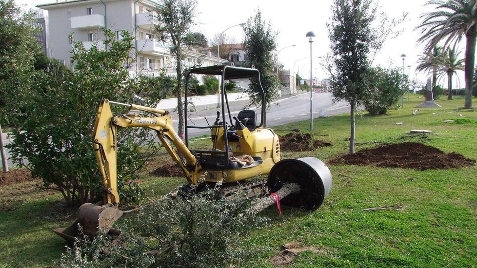 Lecci, querce e tamerici anche in largo Fattori