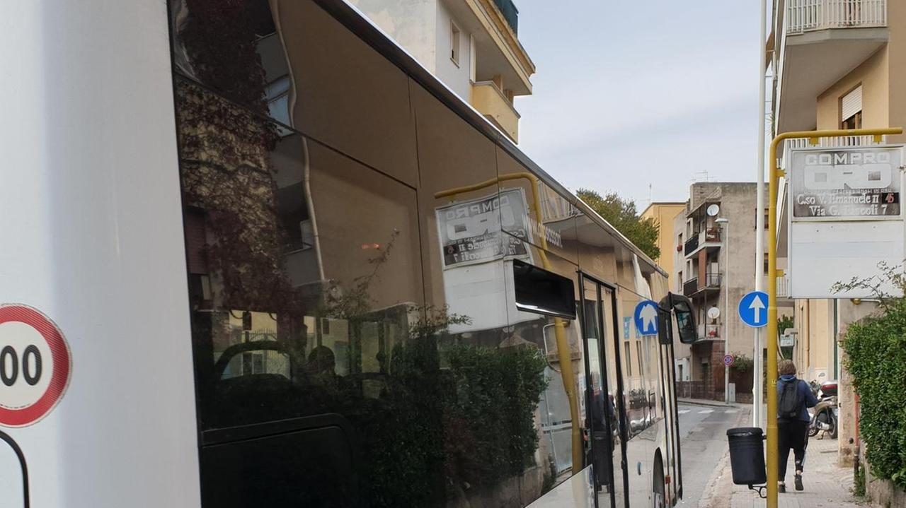 Fermata a quiz: indovina il bus...