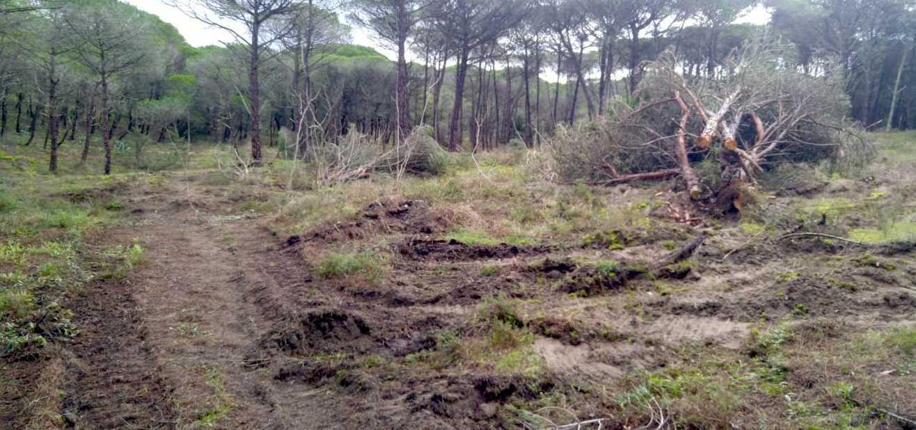 Italia nostra: «A Platamona sfregio predeterminato» 