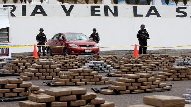 Ecuador: cane antidroga fiuta 1,3 tonnellate di cocaina