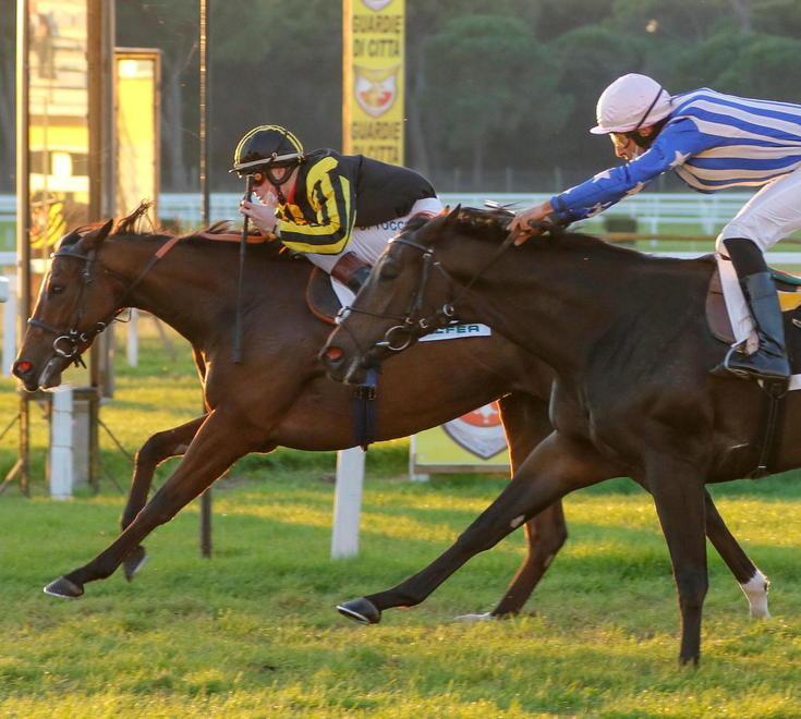 Il premio Bottanelli al centro della giornata a San Rossore